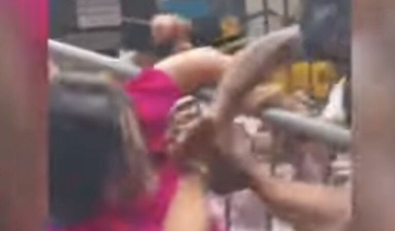 NYC Councilwoman Sued By NYPD Chief After Criminal Charges For Biting Him Dismissed