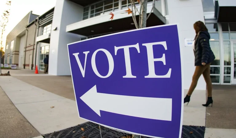 There is only one reason Democrats want to make it easier for noncitizens to vote There is only one reason Democrats want to make it easier for noncitizens to vote