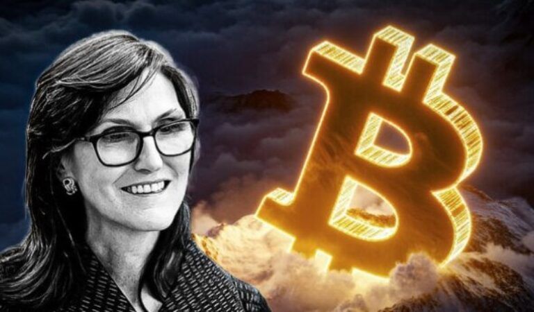 Cathie Wood stawia na Bitcoin. Przedsprzedaże, które warto mieć na oku na rynku podwyższonego ryzyka Cathie Wood stawia na Bitcoin. Przedsprzedaże, które warto mieć na oku na rynku podwyższonego ryzyka