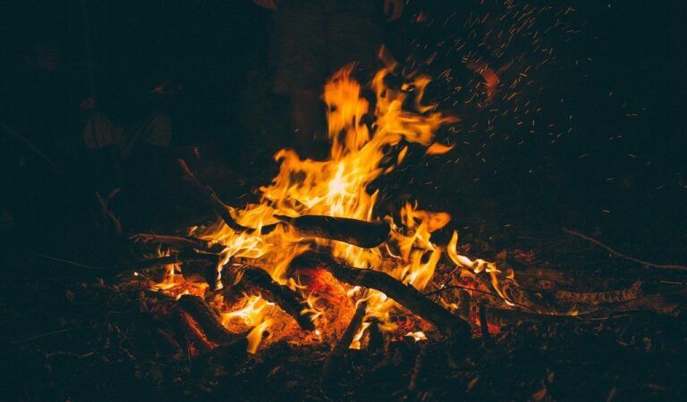 Markets Today: ADA, SOL Lead Futures Market Activity, SHIB Burn Rate Explodes Markets Today: ADA, SOL Lead Futures Market Activity, SHIB Burn Rate Explodes