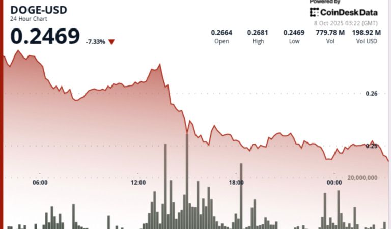 Dogecoin Plunges 8% Before Whale Buying Stabilizes at DOGE Prices $0.25