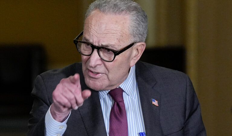 Schumer says Trump DOJ can’t ‘f*** around’ in releasing Epstein files: ‘I don’t trust Bondi’