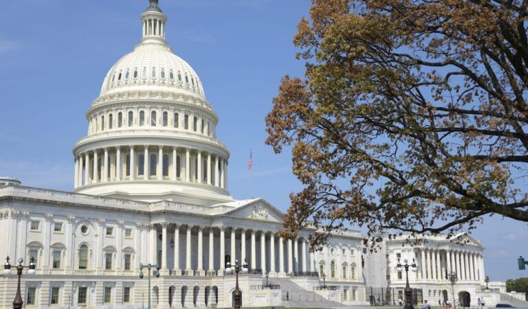 Democrat Facing Removal From Committee Over Epstein Texts