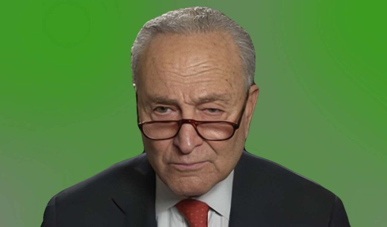 REPORT: Chuck Schumer Fought Behind the Scenes to Keep Government Shut Down Through Thanksgiving