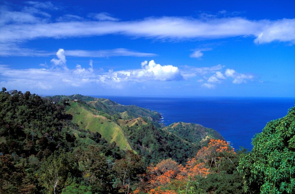 View over Castara Bay, Tobago, Caribbean.