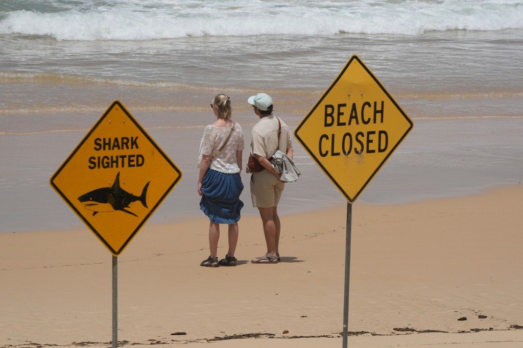A surfer sustained minor injuries in a shark bite Tuesday, the fourth attack reported off the coast of Australia’s most populous state in three days.