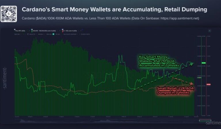 Cardano’s Big Rally In Sight? ADA’s Interest Sees Subtle Shift As Smart Money Accumulates