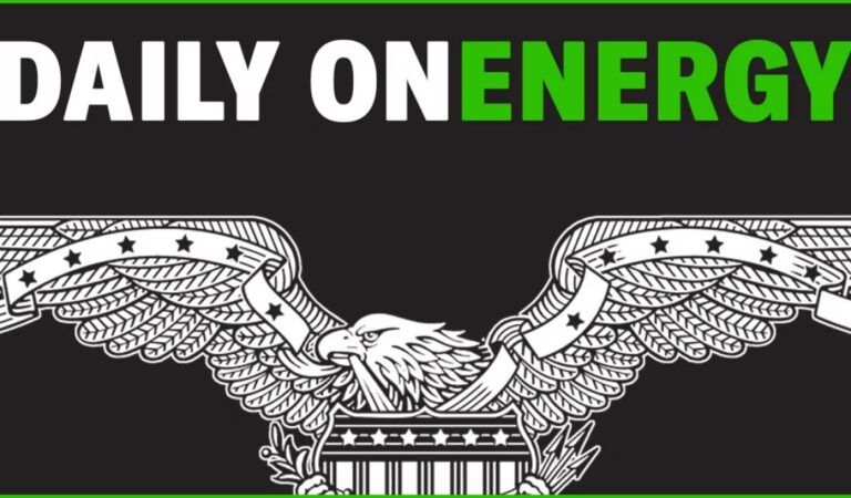 Daily on Energy: Cost of permitting delays, a critical mineral exec interview, and Trump’s ‘New Interior’