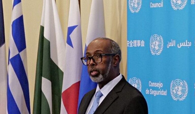 Feds: Somalia’s Ambassador to United Nations Linked to Medicaid Fraud in Ohio