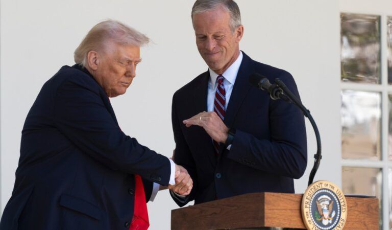 Thune urges Trump to ‘leave the church alone’ after president rips pope over Iran