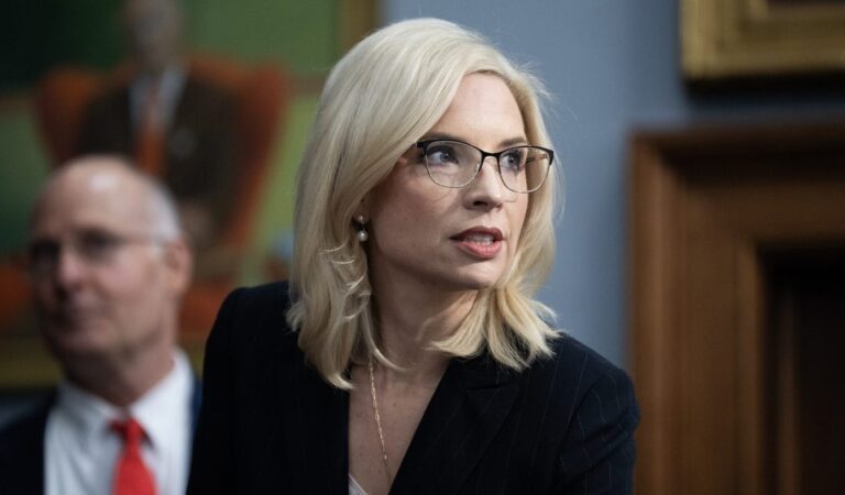 Iowa Republican zeroes in on birth control access in heated Senate race