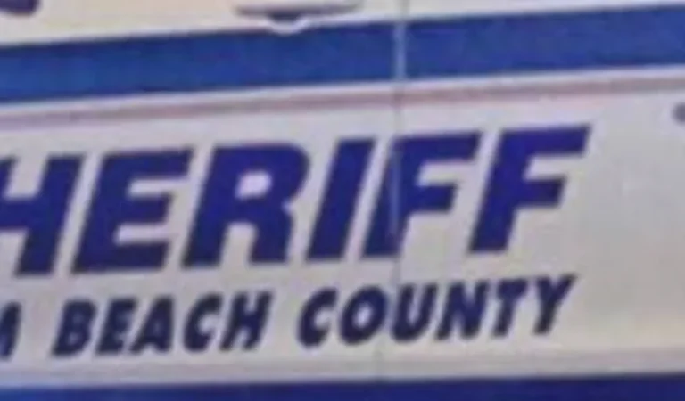 Florida deputy accuses driver of ‘holding a phone’ with her ‘right hand.’ But there’s a big problem.