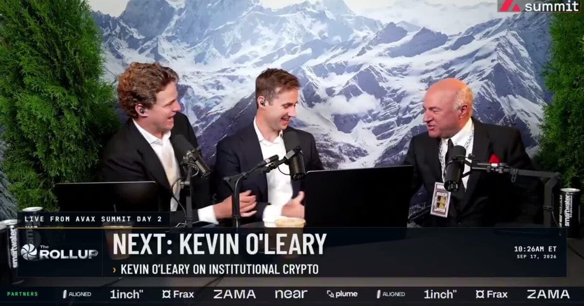 Kevin O'Leary discussing Bitcoin during The Rollup interview